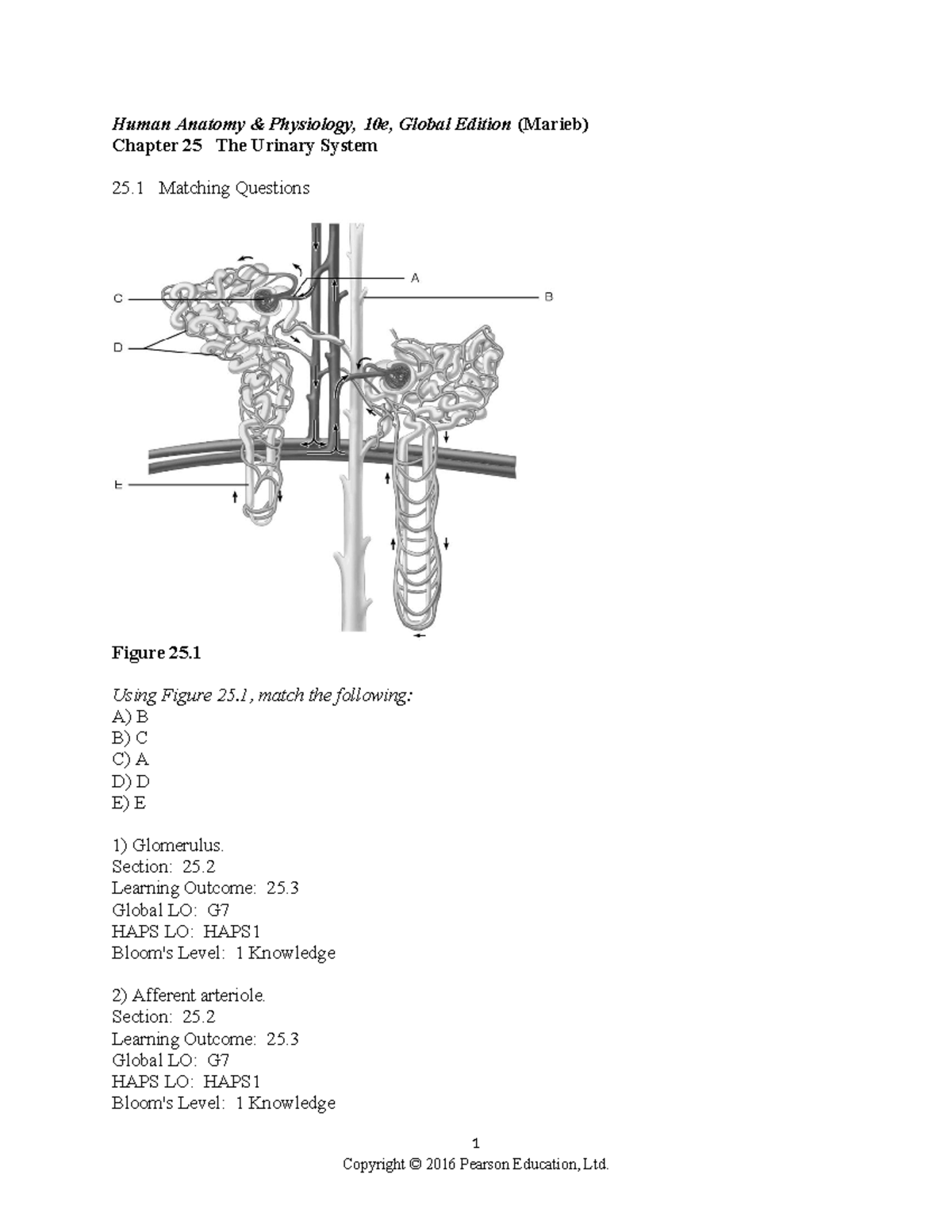 Ch 25 Test Bank - Test Bank - Human Anatomy & Physiology, 10e, Global ...