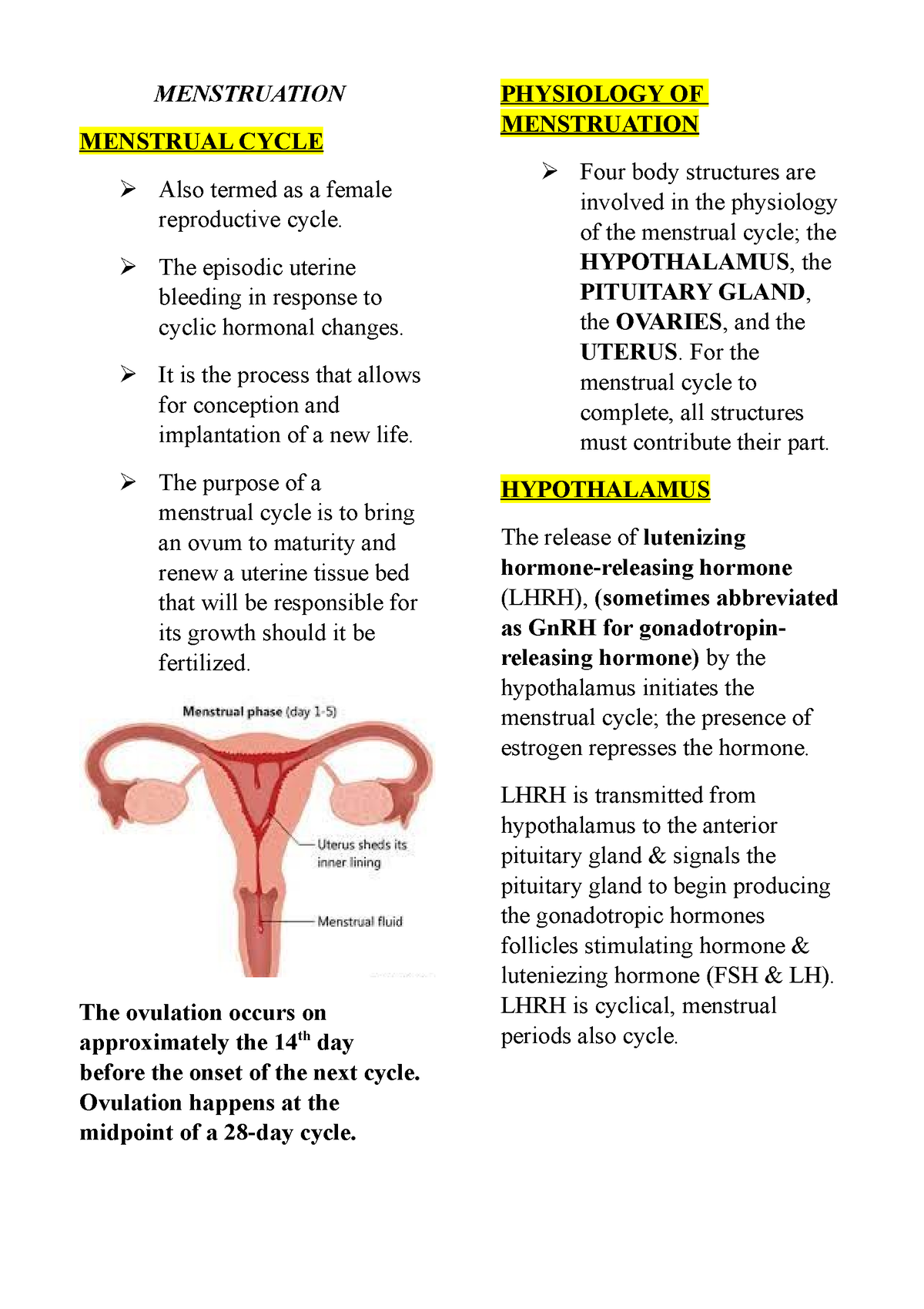 Menstruation Lecture Notes - MENSTRUATION MENSTRUAL CYCLE Also termed ...