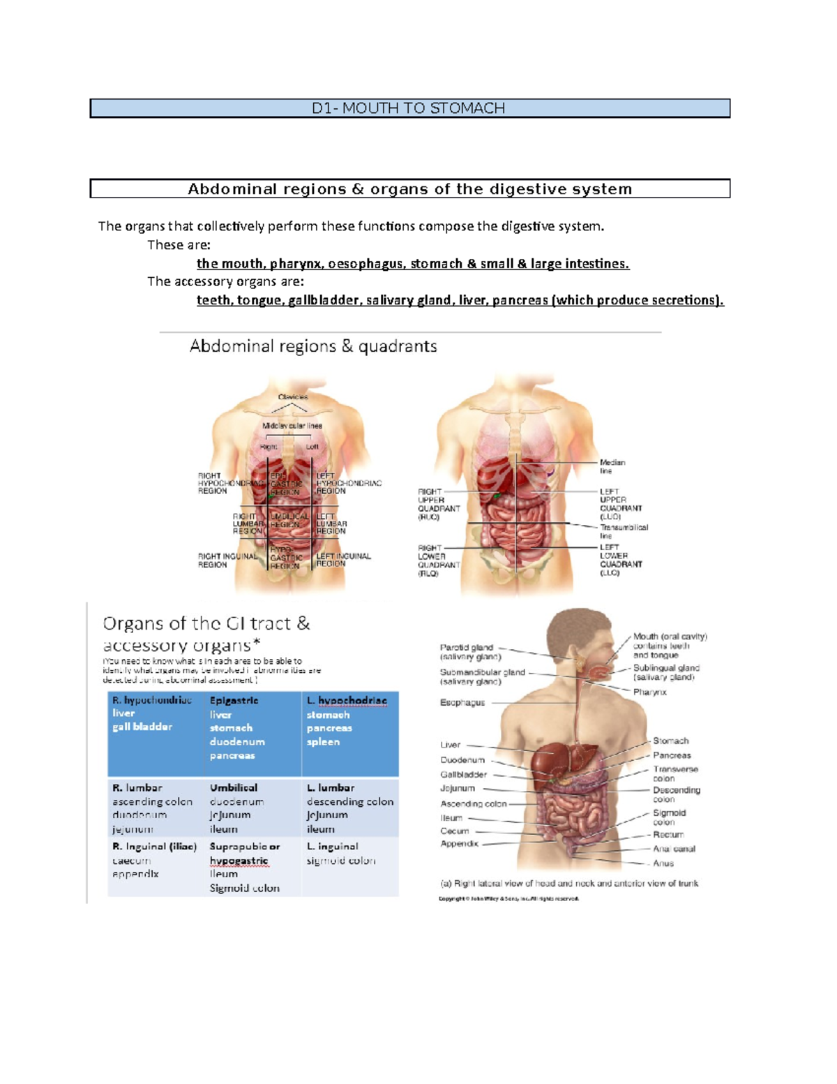 D1 Mouth TO Stomach - BN NOTES SUMMARY - D1- MOUTH TO STOMACH Abdominal ...