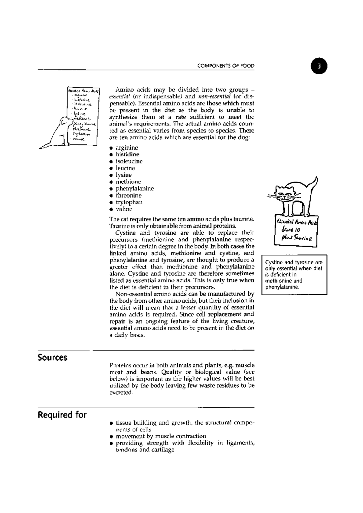 Small animal nutrition part 2 Studocu