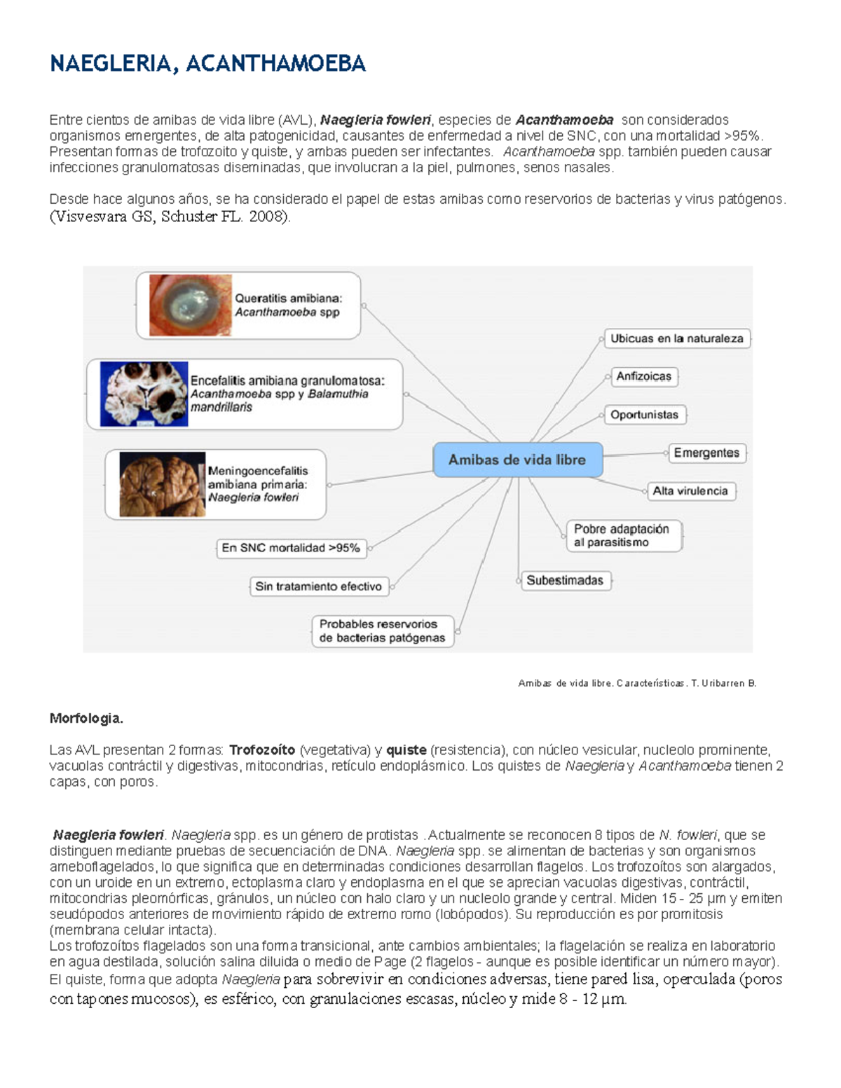 infección por la piel de Acanthamoeba
