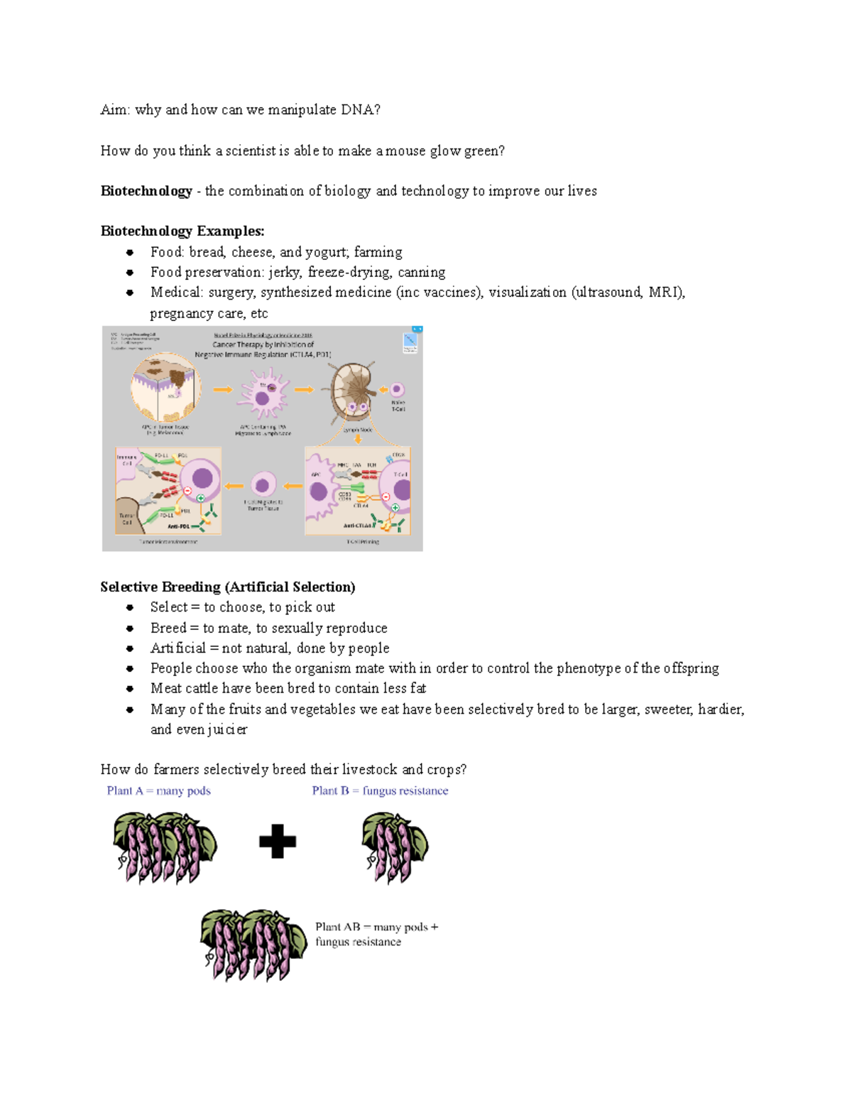 Ap Bio Unit 8 Mcq - 09gj1ka