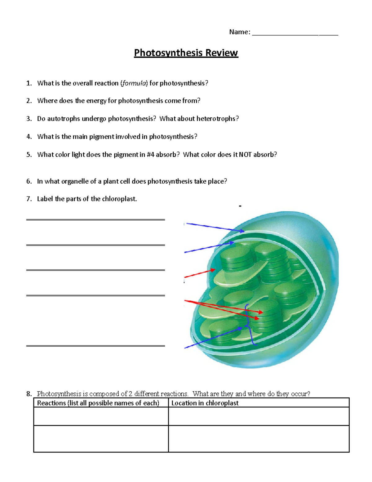 Photosynthesis & Cell Respiration Final Review - Name ...