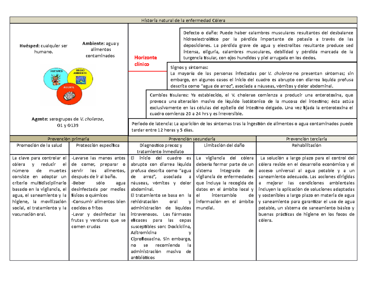 HNE Cólera - Historia natural de la enfermedad Cólera Prevención