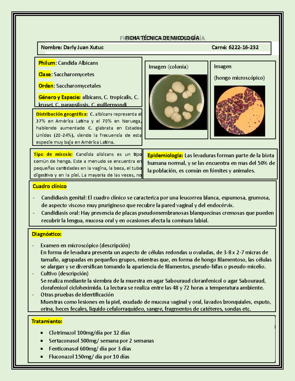 Rhodotorula rubra tinción de Gram