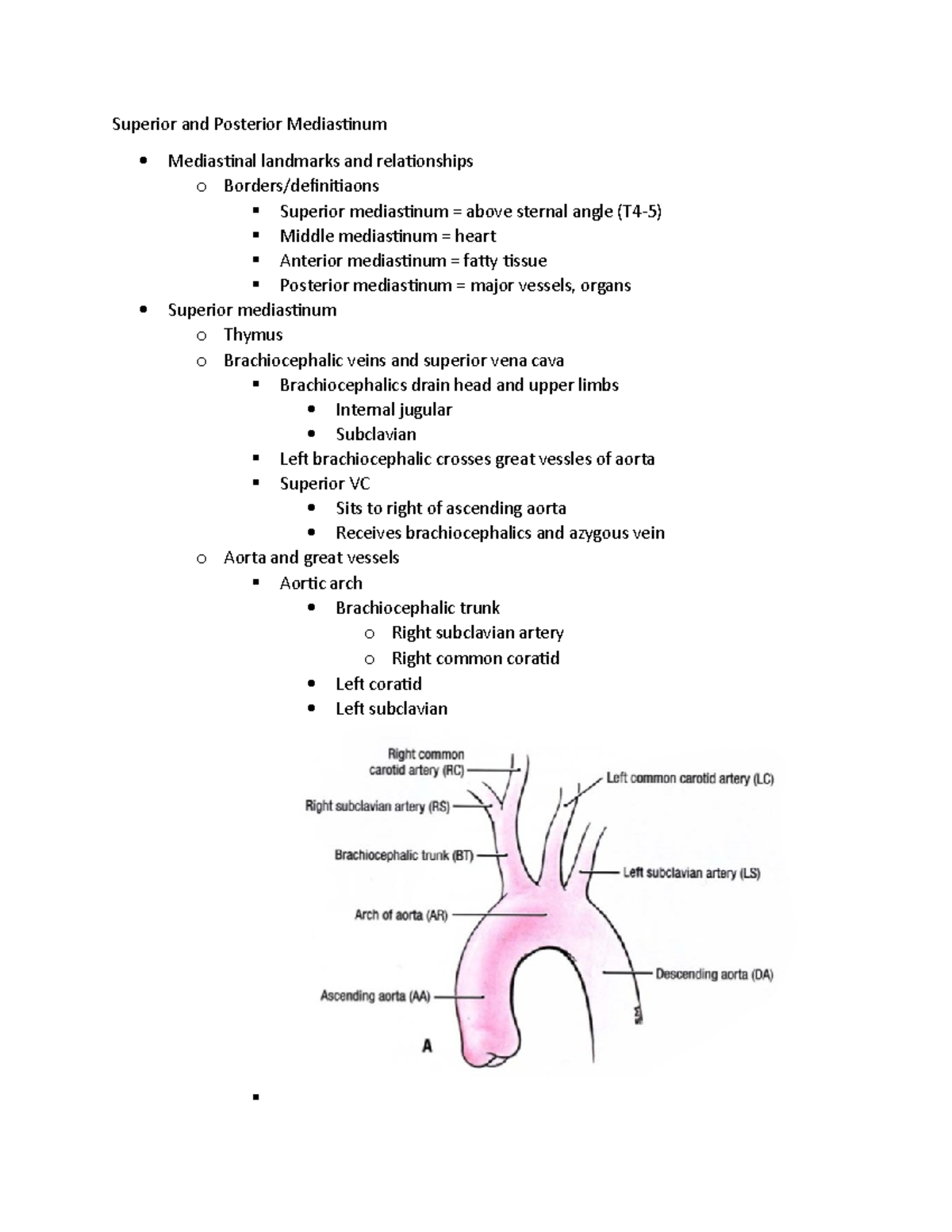 06 ANAT Superior and posterior mediastinum - Superior and Posterior ...