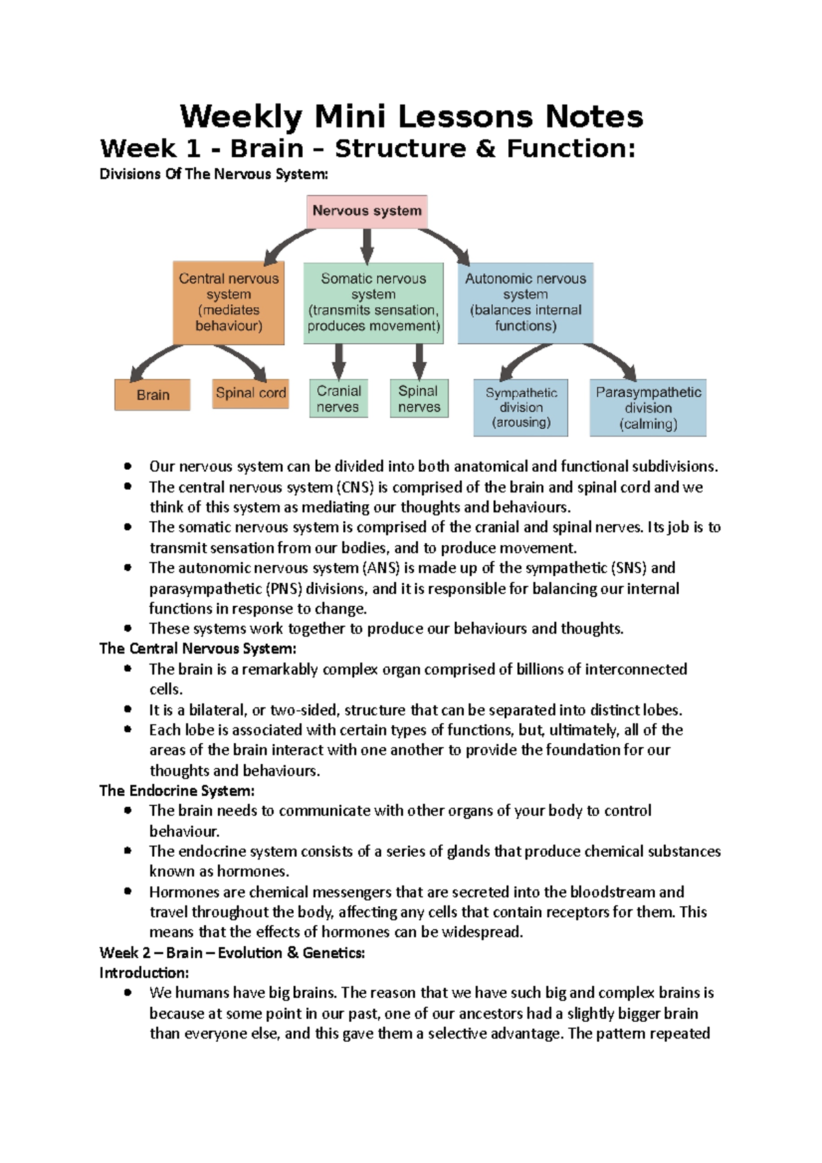 Weekly Mini Lessons Notes - The central nervous system (CNS) is ...