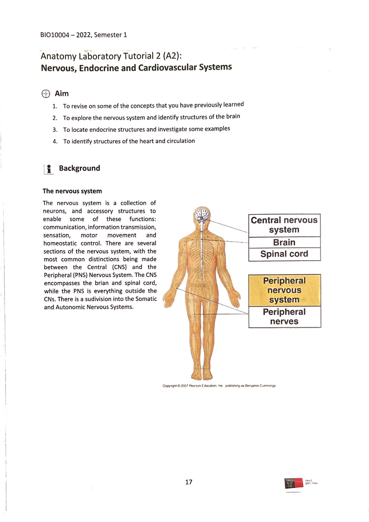 Anatomy Lab Manual #2 - BIO10004 - Studocu