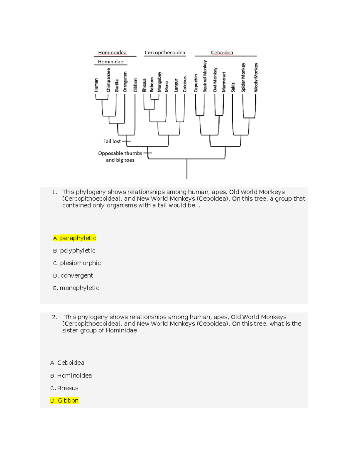 ENVS 212 Quiz 1 - Quiz 1 - This phylogeny shows relationships among ...