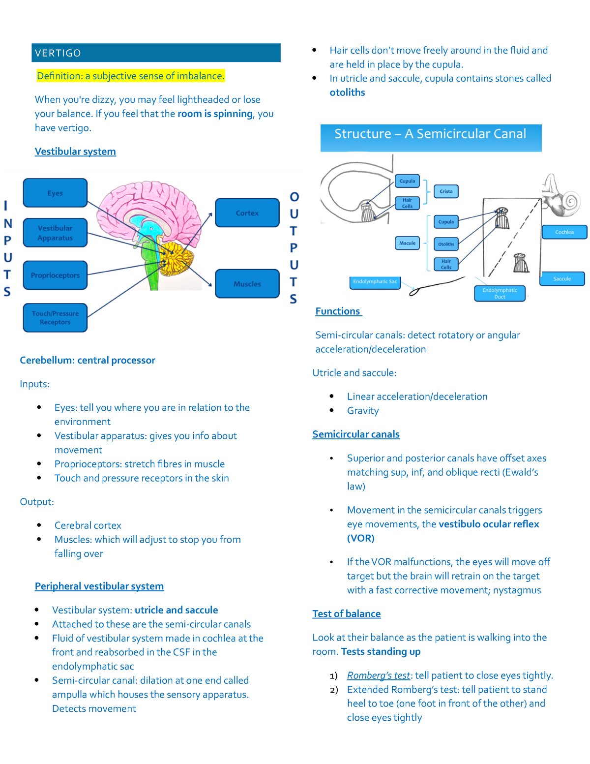 6-vertigo-summary-notes-vertigo-definition-a-subjective-sense-of