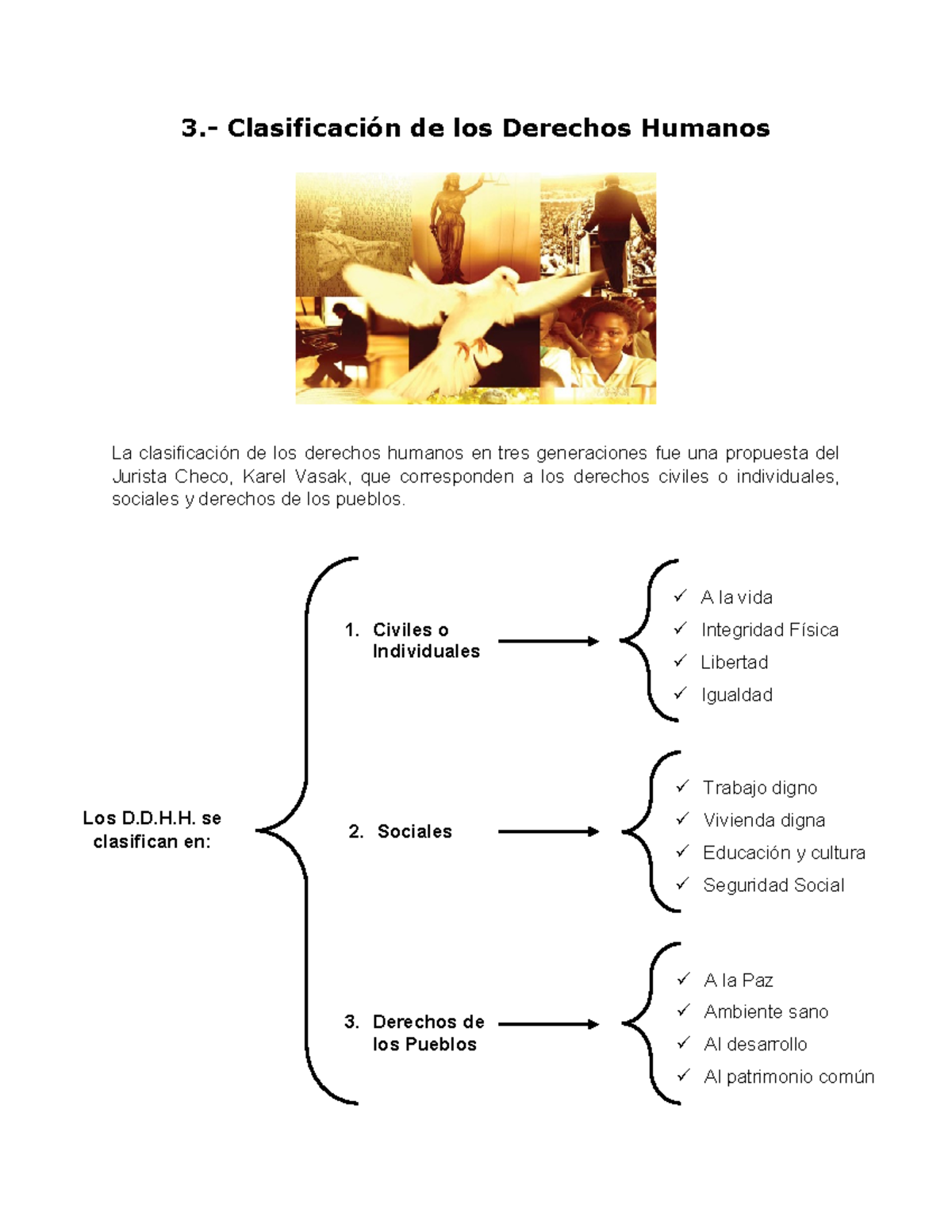 Educacion Civica Clasificacion De Los Derechos Humanos 3