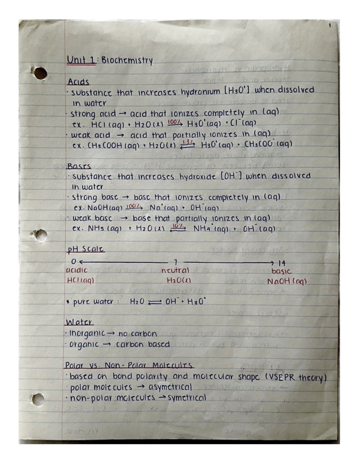 Biochemistry - Studocu
