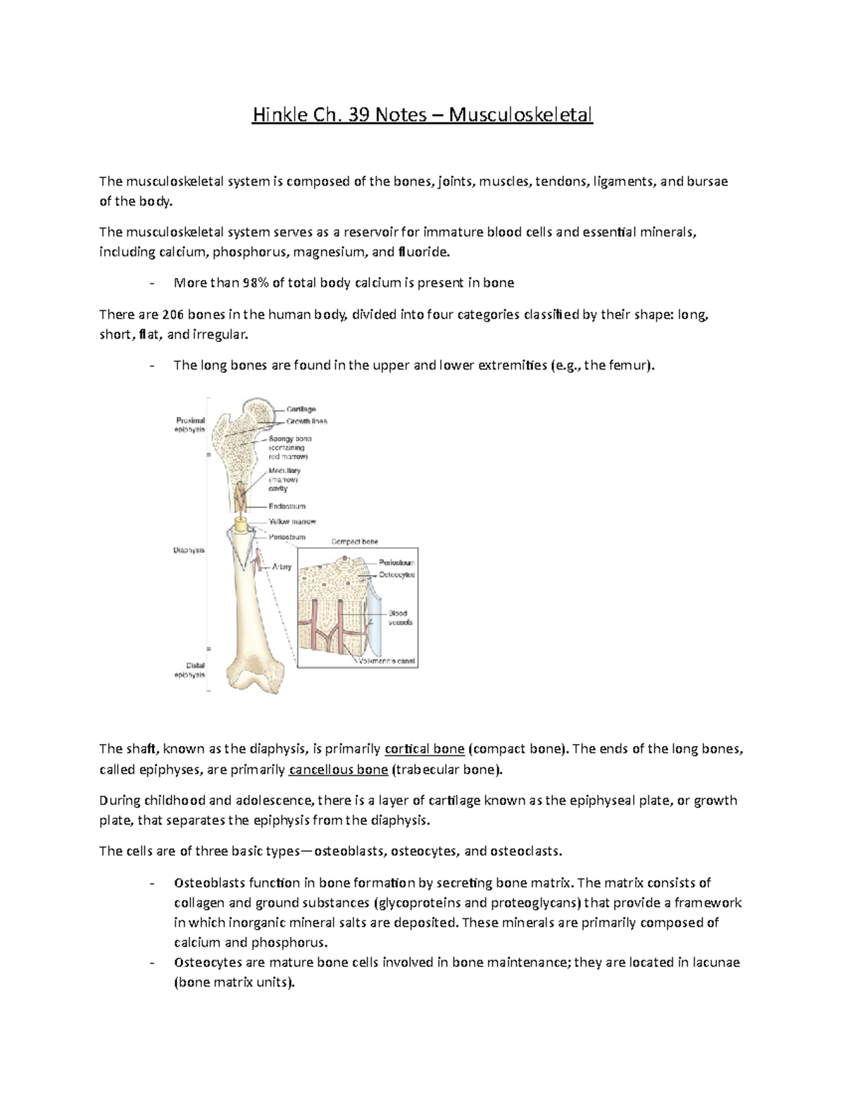 Hinkle Ch. 39 Notes - Hinkle Ch. 39 Notes – Musculoskeletal The ...