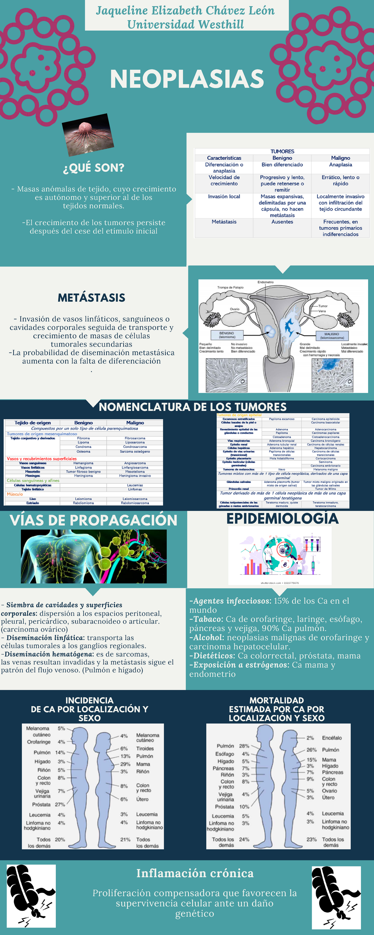Infografia Neoplasias Anatomia Uw Studocu