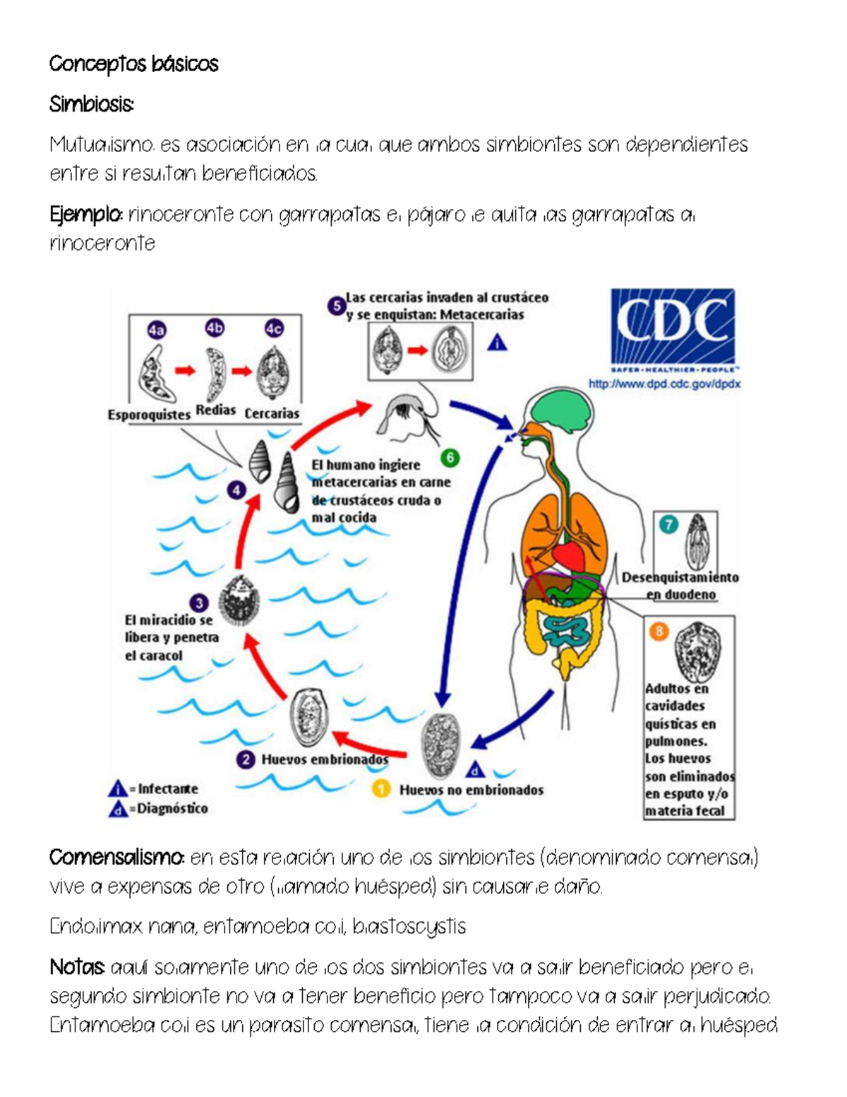 Apuntes Parasitologia - Conceptos B·sicos Simbiosis: Mutualismo: Es ...