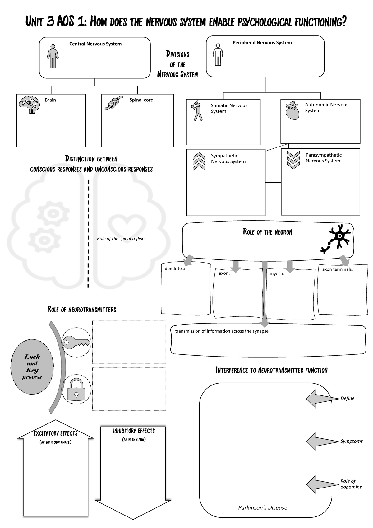 Unit3AOS1Revision Poster For the Nervous system - Unit 3 AOS 1: How ...