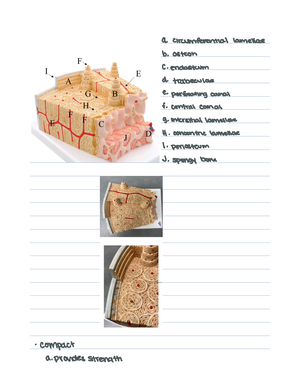 Lecture EXAM 1 Study Guide - BIOS 3010 - Studocu