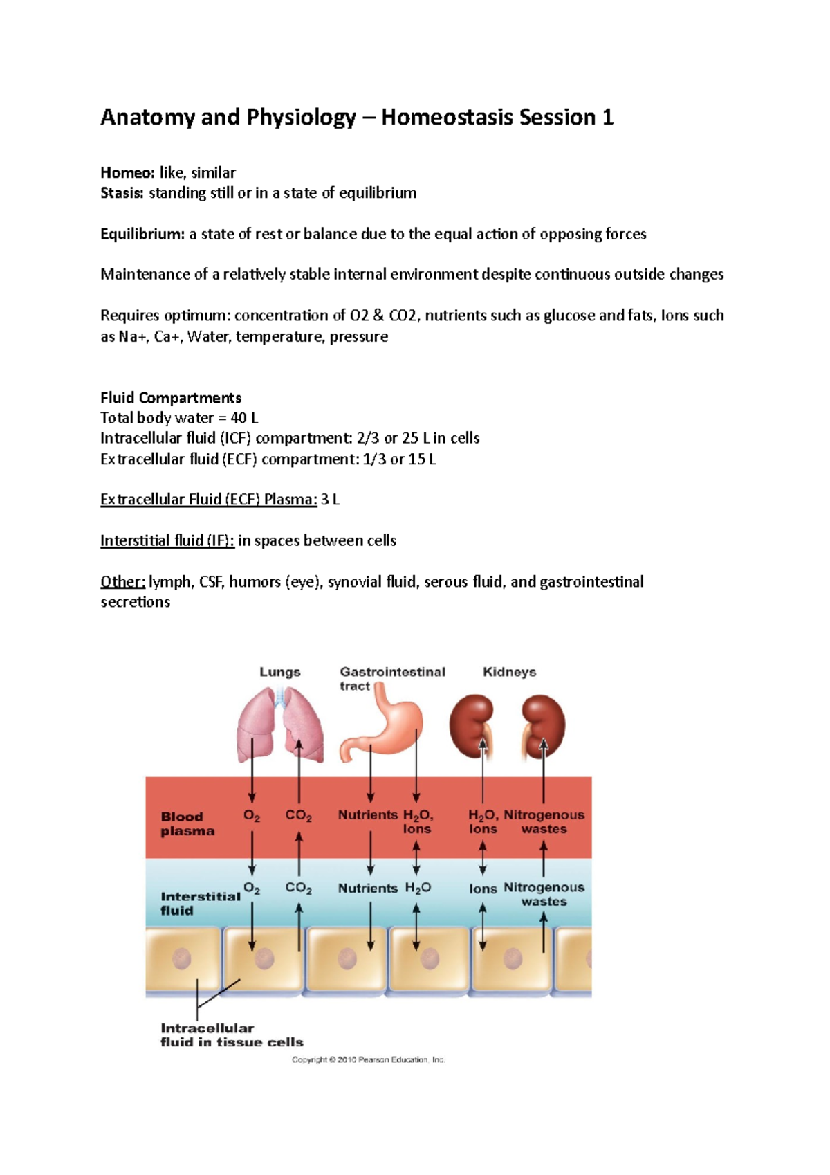 Homeostasis Notes - Anatomy And Physiology – Homeostasis Session 1 ...