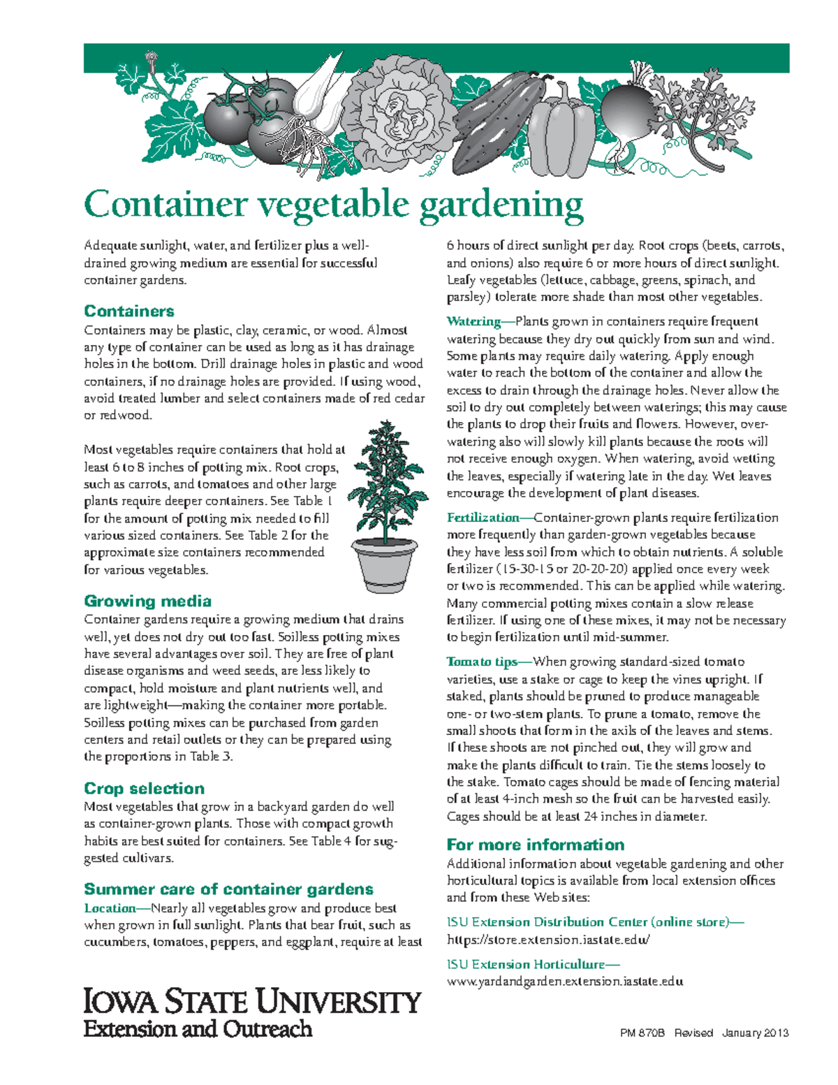 Container Gardening - Book - Adequate sunlight, water, and fertilizer ...