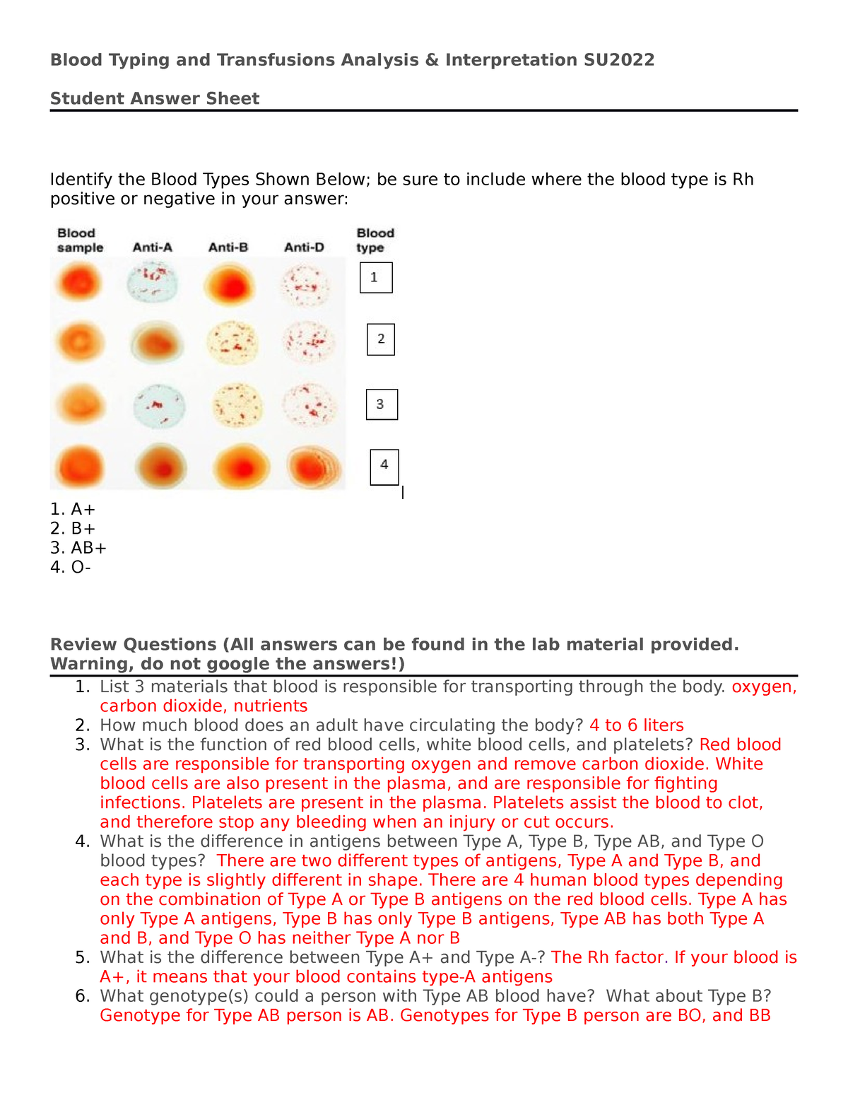 blood-typing-and-transfusions-student-answer-sheet-blood-typing-and-transfusions-analysis