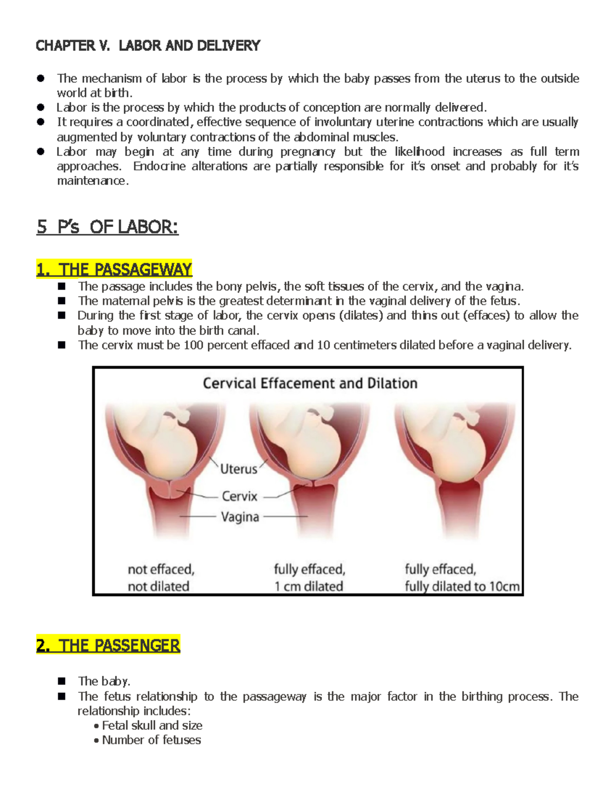 labor and deliver - CHAPTER V. LABOR AND DELIVERY The mechanism of ...