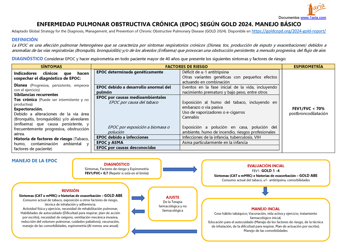 Epocgold2024 EPOC GOLD Documentos ENFERMEDAD PULMONAR OBSTRUCTIVA