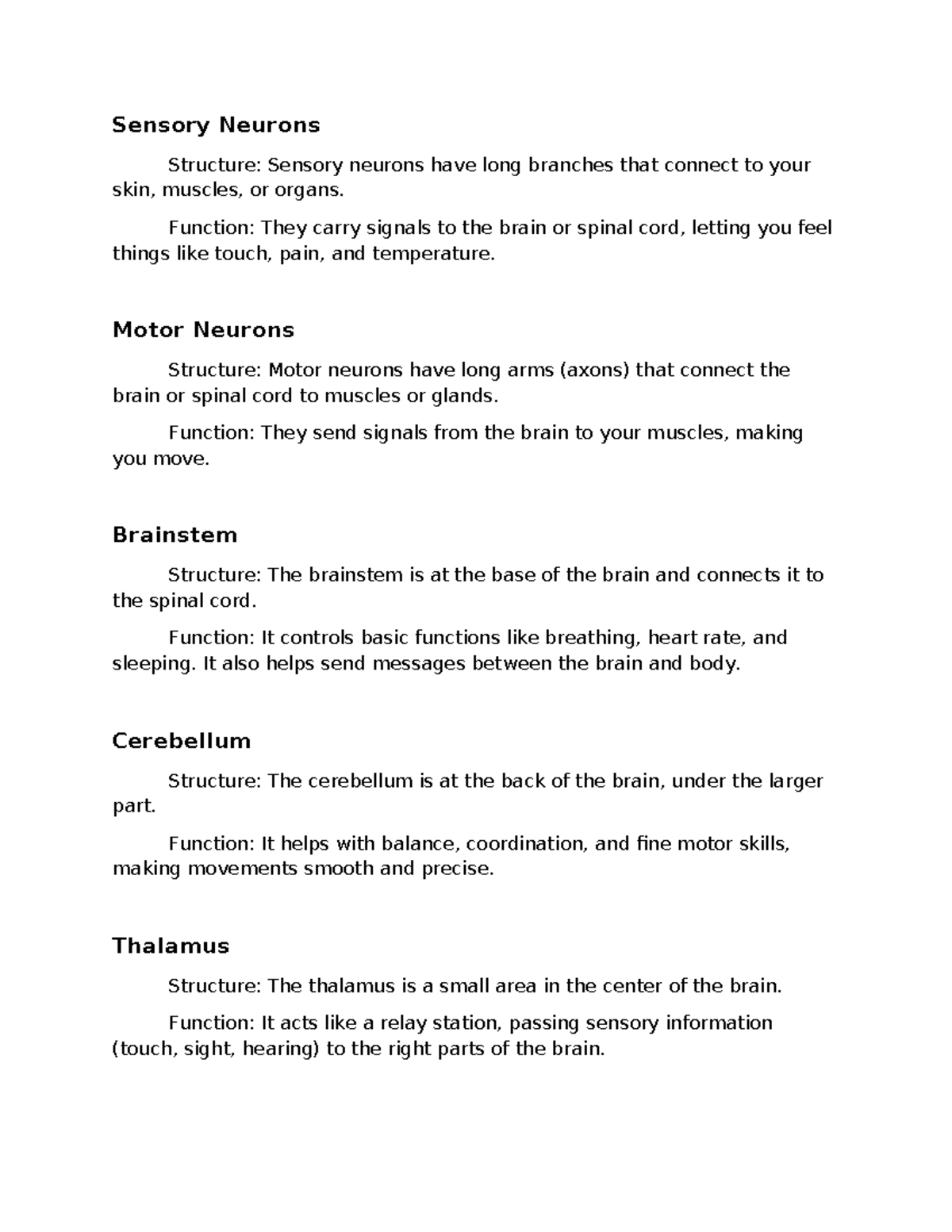 Week 3 Prep Work - Full week 3 prep - Sensory Neurons Structure ...