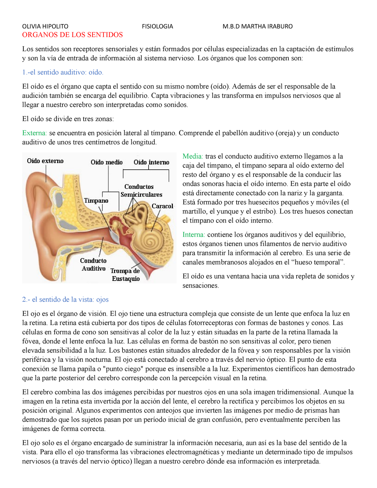 Los Rganos De Los Sentidos 3 Ciencias Naturales En San Cucao 9874