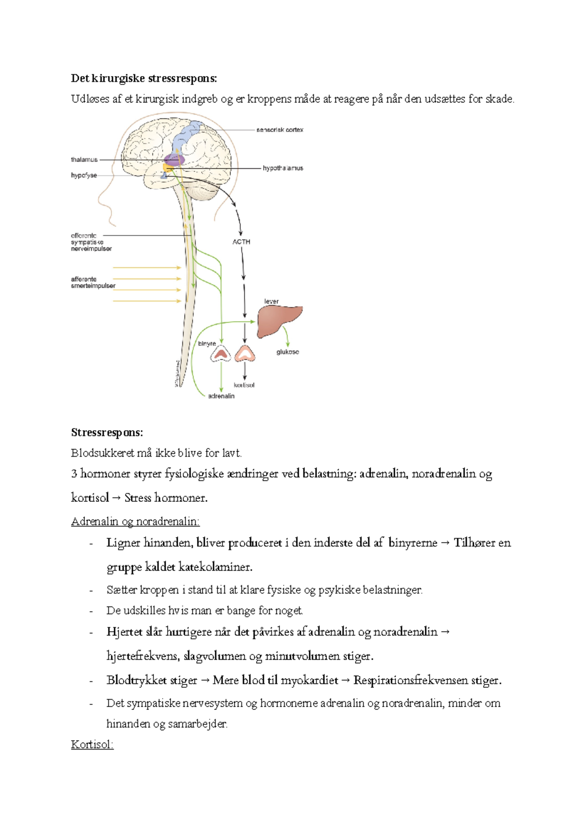 Det postoperative stressrespons - Det kirurgiske stressrespons: Udløses ...