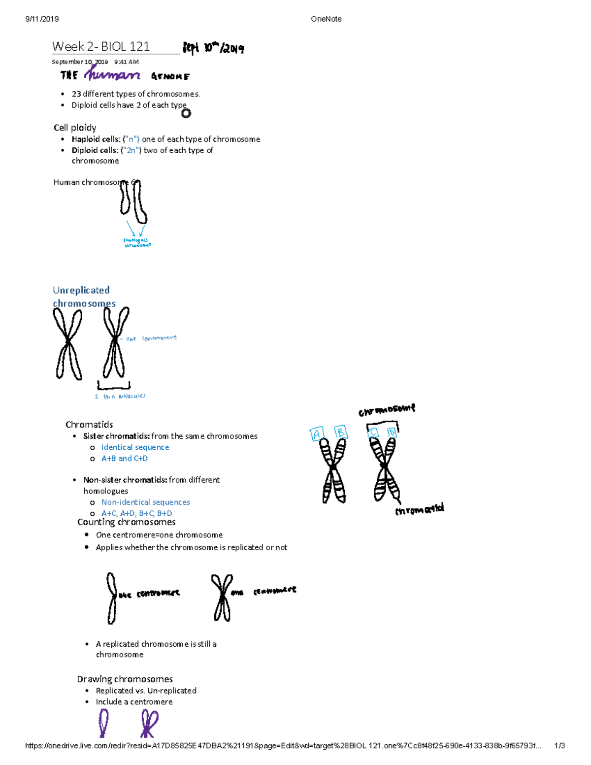BIOL 121 Sample Notes - Warning: TT: undefined function: 32 9/11/2019 ...
