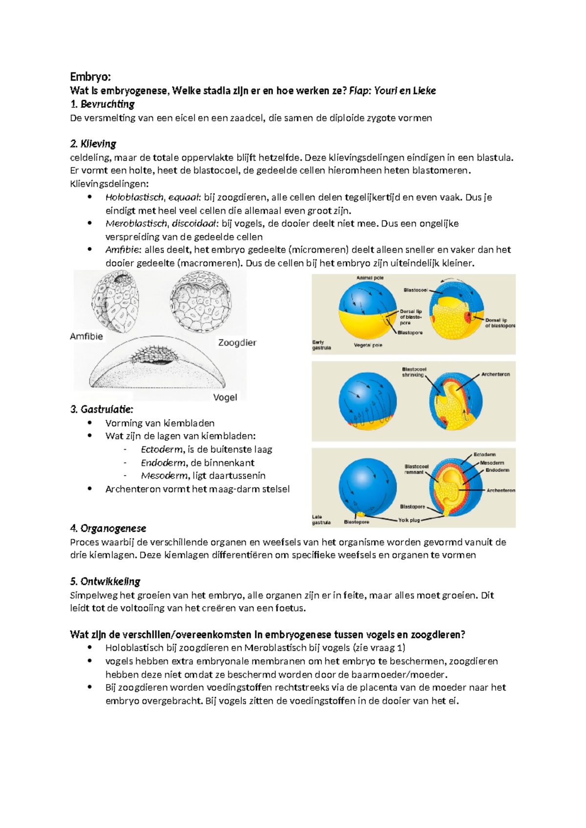 PGO Leervragen Taak 3 - Uitwerkingen PGO Taak 3 Blok 3 - Embryo: Wat Is ...