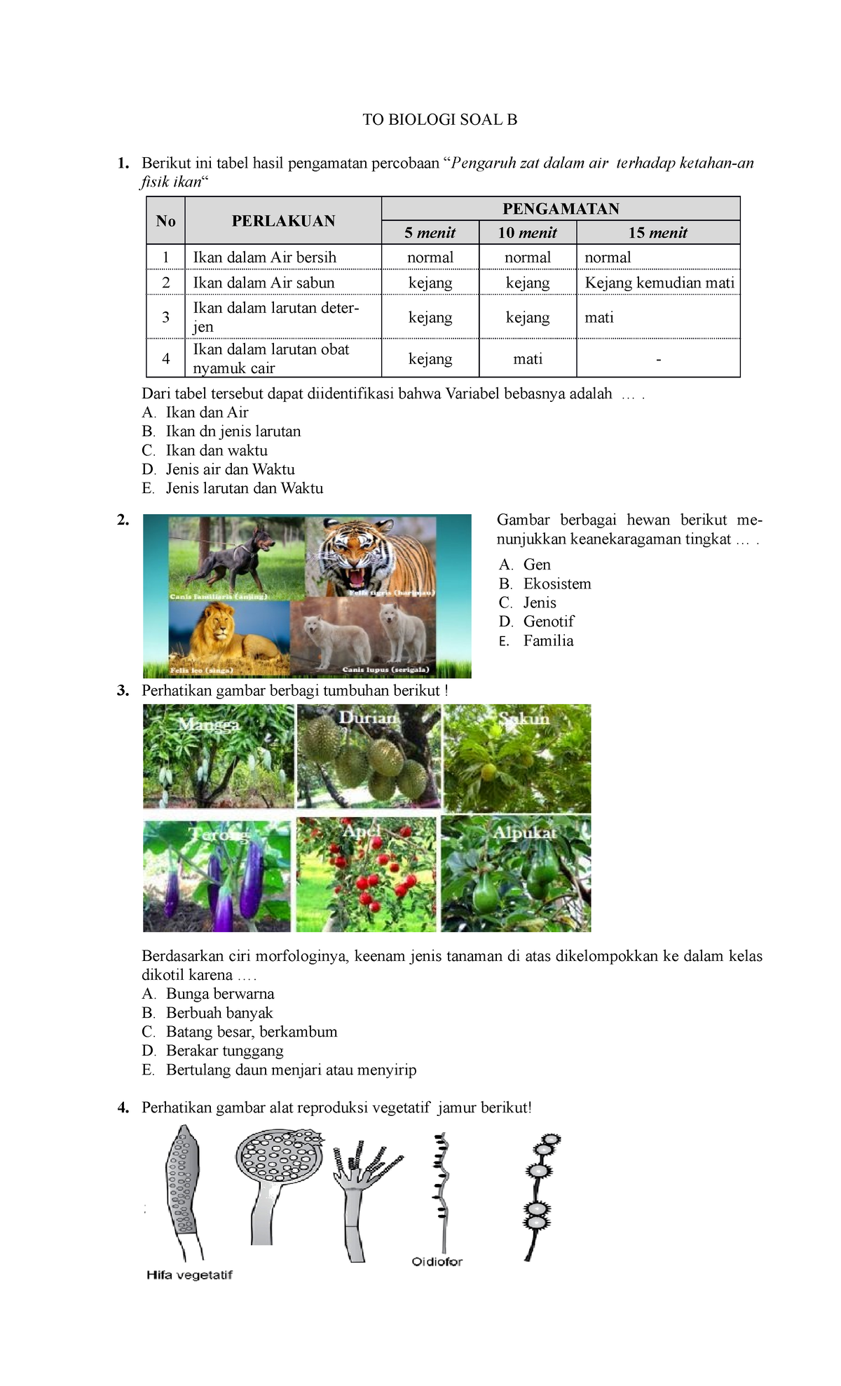 SOAL B TO Biologi 2017 - TO BIOLOGI SOAL B Berikut Ini Tabel Hasil ...