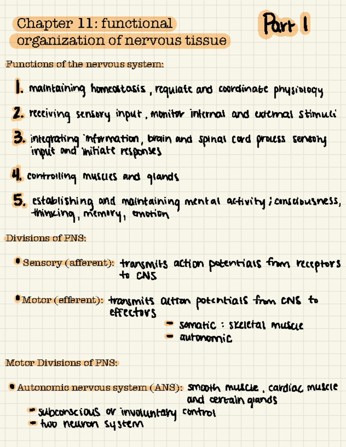 Chapter 11 - Chapter 11: functional organization of nervous tissue ...