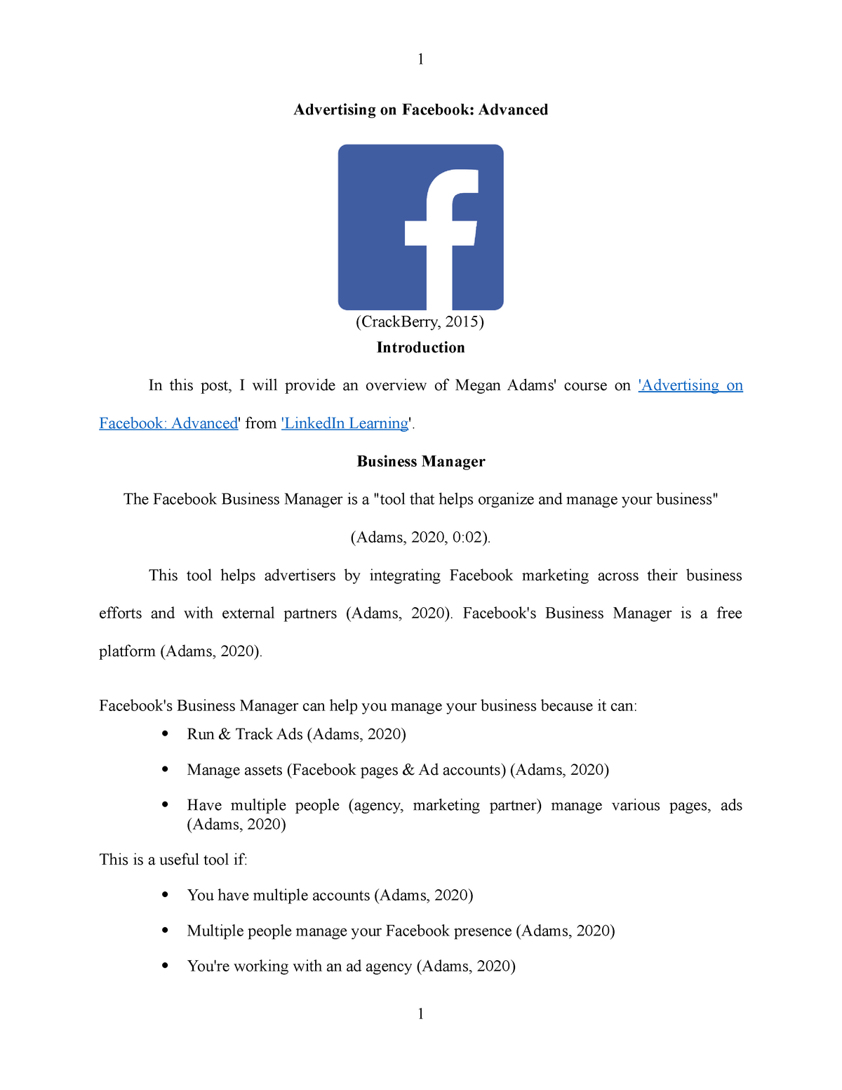 facebook advertising research paper