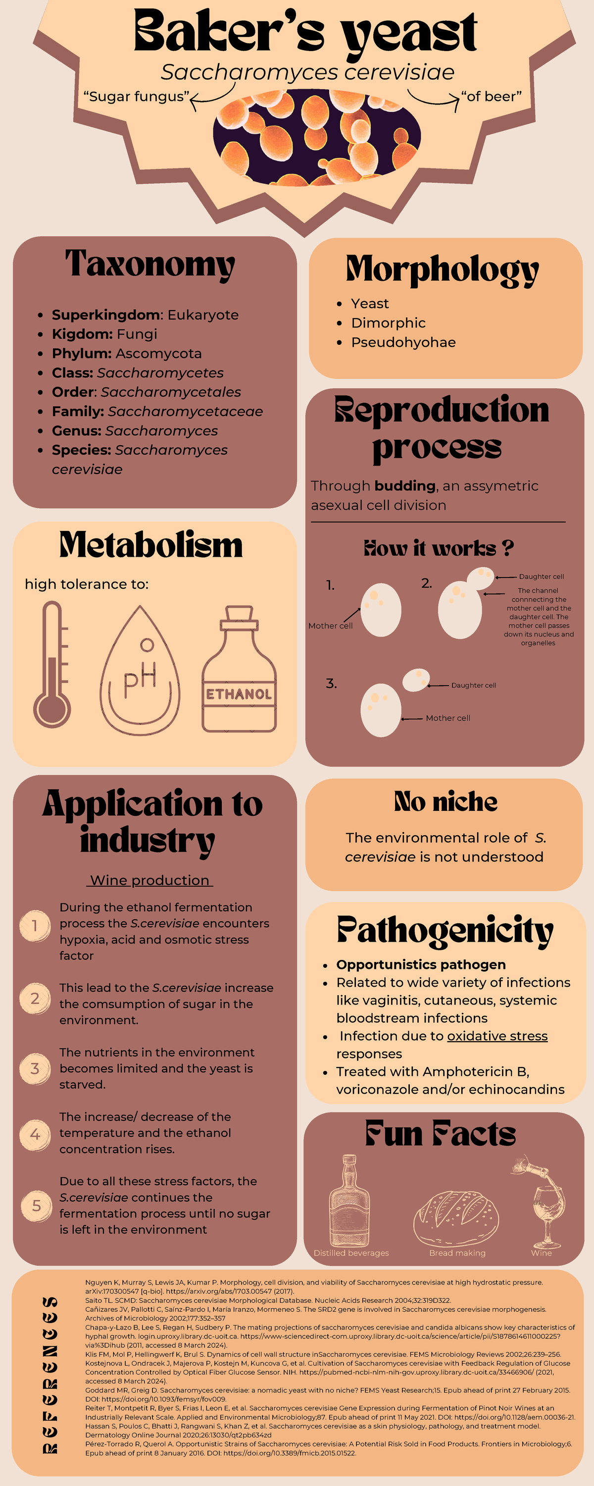 Microbial ProfilFungus Metabolism Mother cell Baker’s yeast