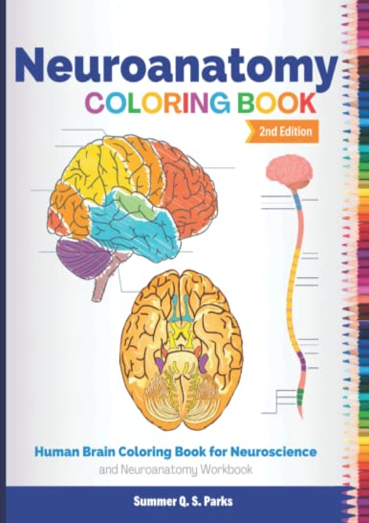 [Ebook] Neuroanatomy Coloring Book Human Brain Coloring Book for