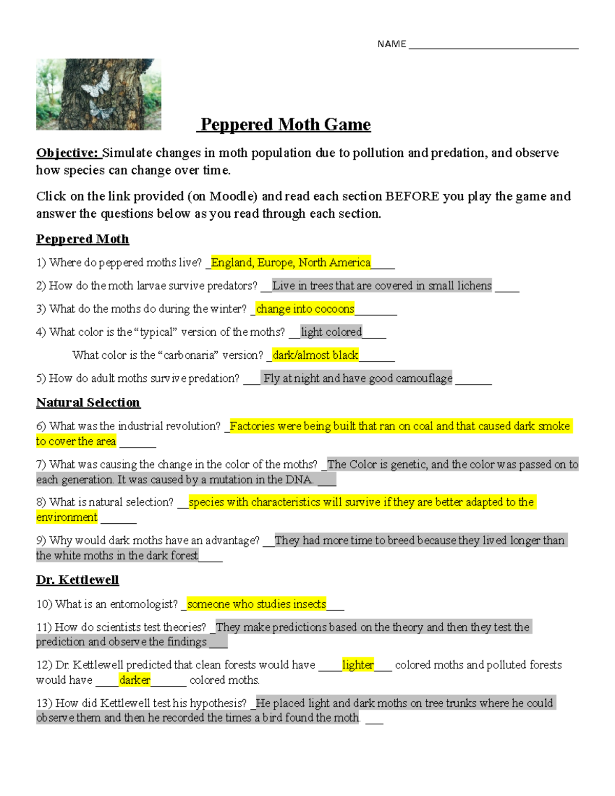 A Peppered Moth Game Worksheet - NAME Peppered Moth Game Objective: -  Studocu