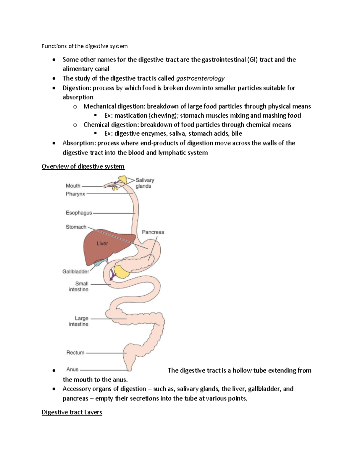 Digestive and urinary - Functions of the digestive system Some other ...