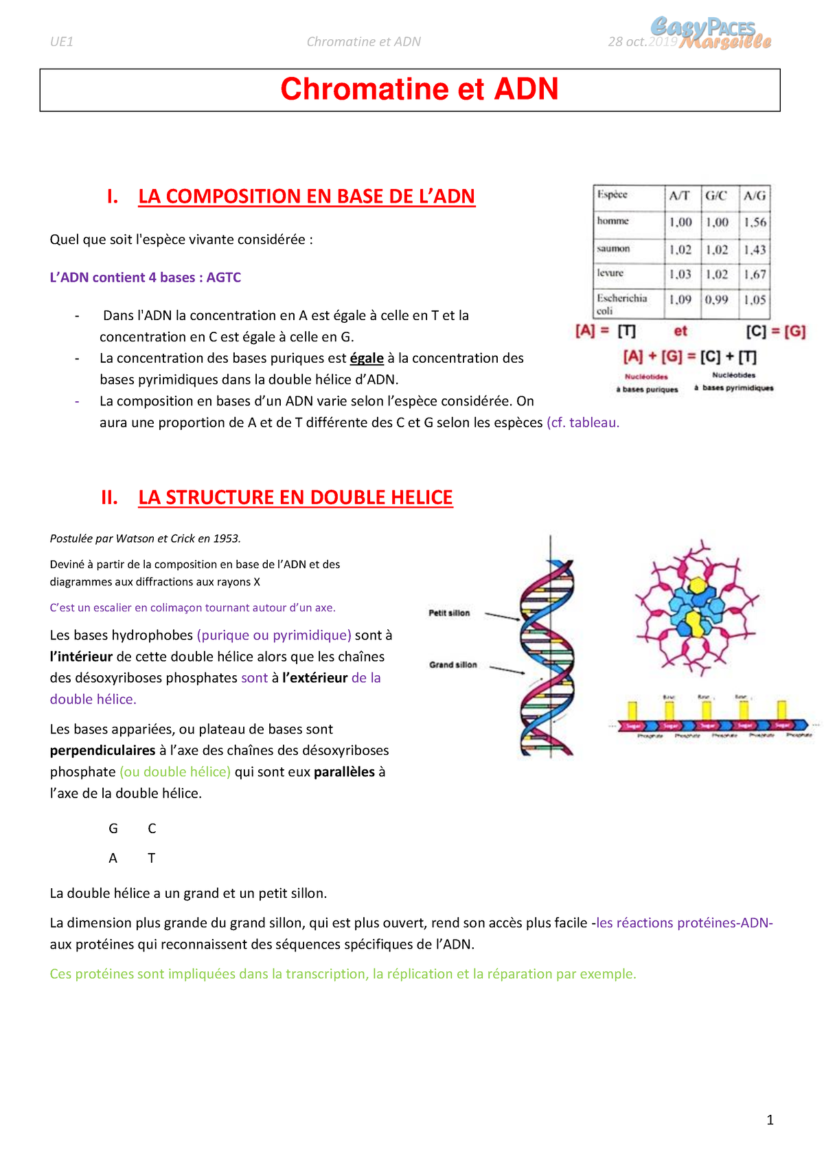 Modification des histones et épigénétique - Rôle de la chromatine dans la  transcription I. Structure - Studocu