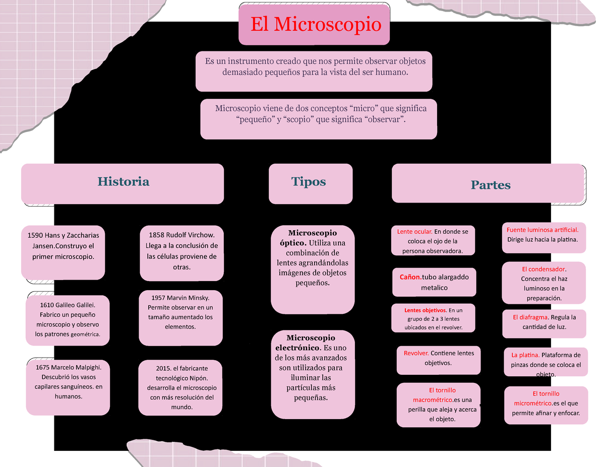 Mapa conceptual - 1590 Hans y Zaccharias Jansen el primer microscopio. 1675  Marcelo Malpighi. - Studocu