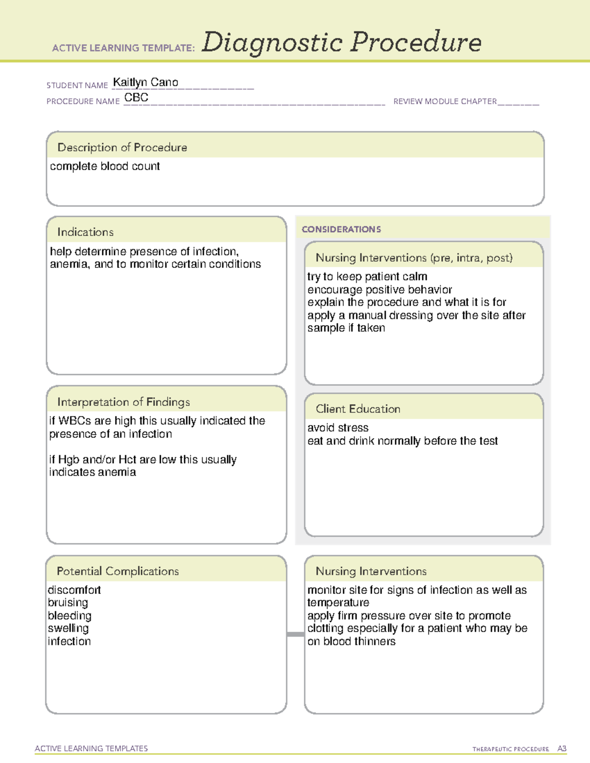 A Template 2 - ACTIVE LEARNING TEMPLATES THERAPEUTIC PROCEDURE A ...