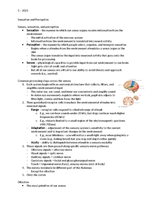 Development - Summary Neuroscience - Development Generating the Correct ...