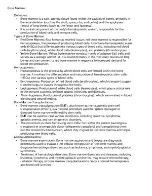 Biogeochemical processes essay- detailed - The Nitrogen Cycle: An ...