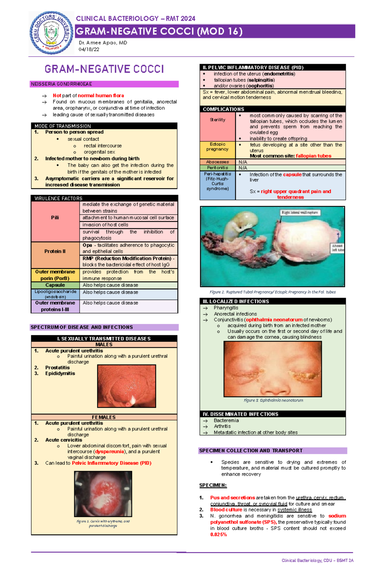 Mod 16 - Gram-Negative Cocci - PAGE 1 GRAM-NEGATIVE COCCI NEISSERIA ...