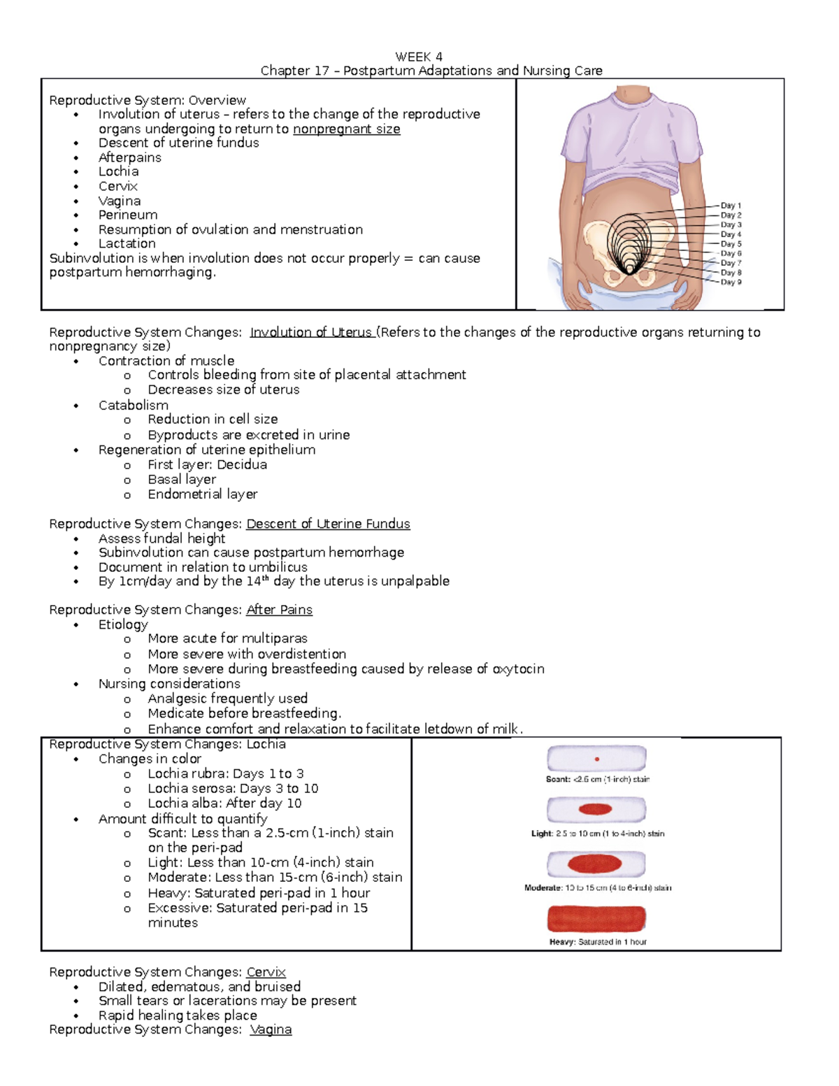 Week 4 notes - • Chapter 8: Nutrition for Childbearing, pages 171-176 ...