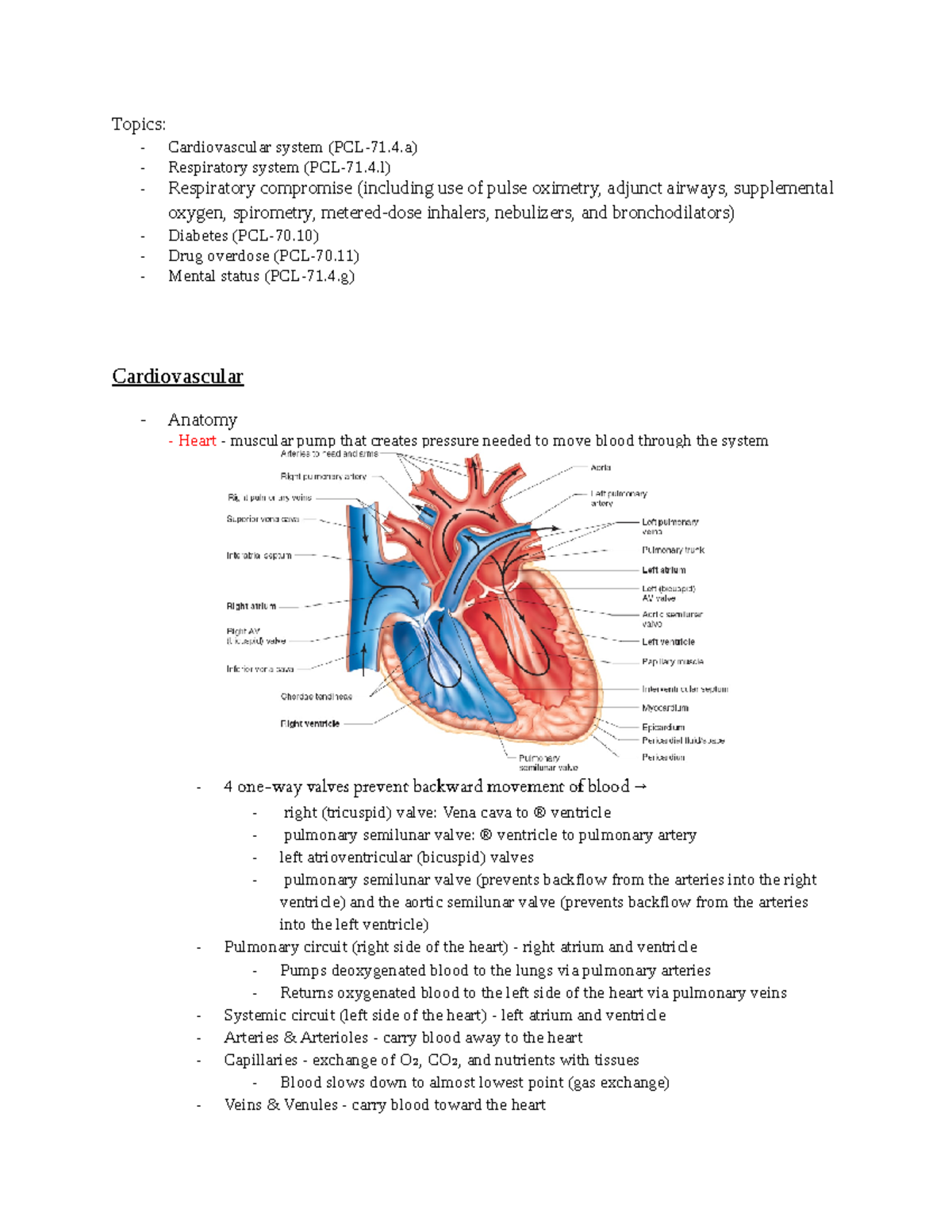 Review - Diamond Group Study Guide - Topics: - Cardiovascular system ...