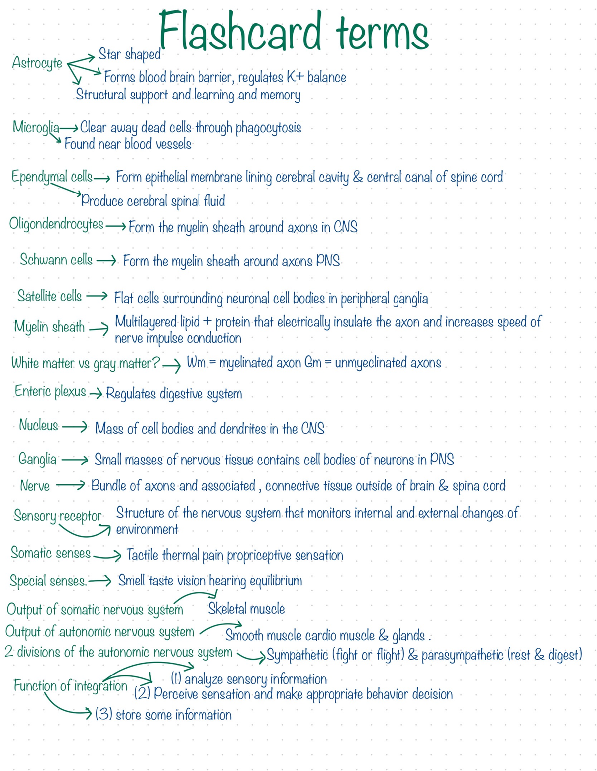 chapter 2 homework anatomy and physiology