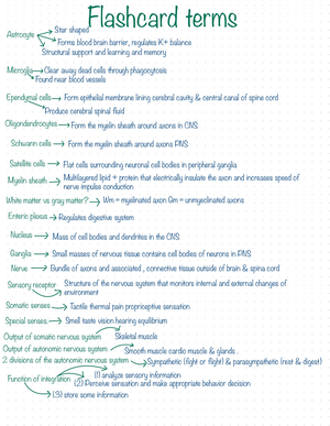 ANATOMY CHAPTER 12 REVIEW QUESTIONS visual data 5