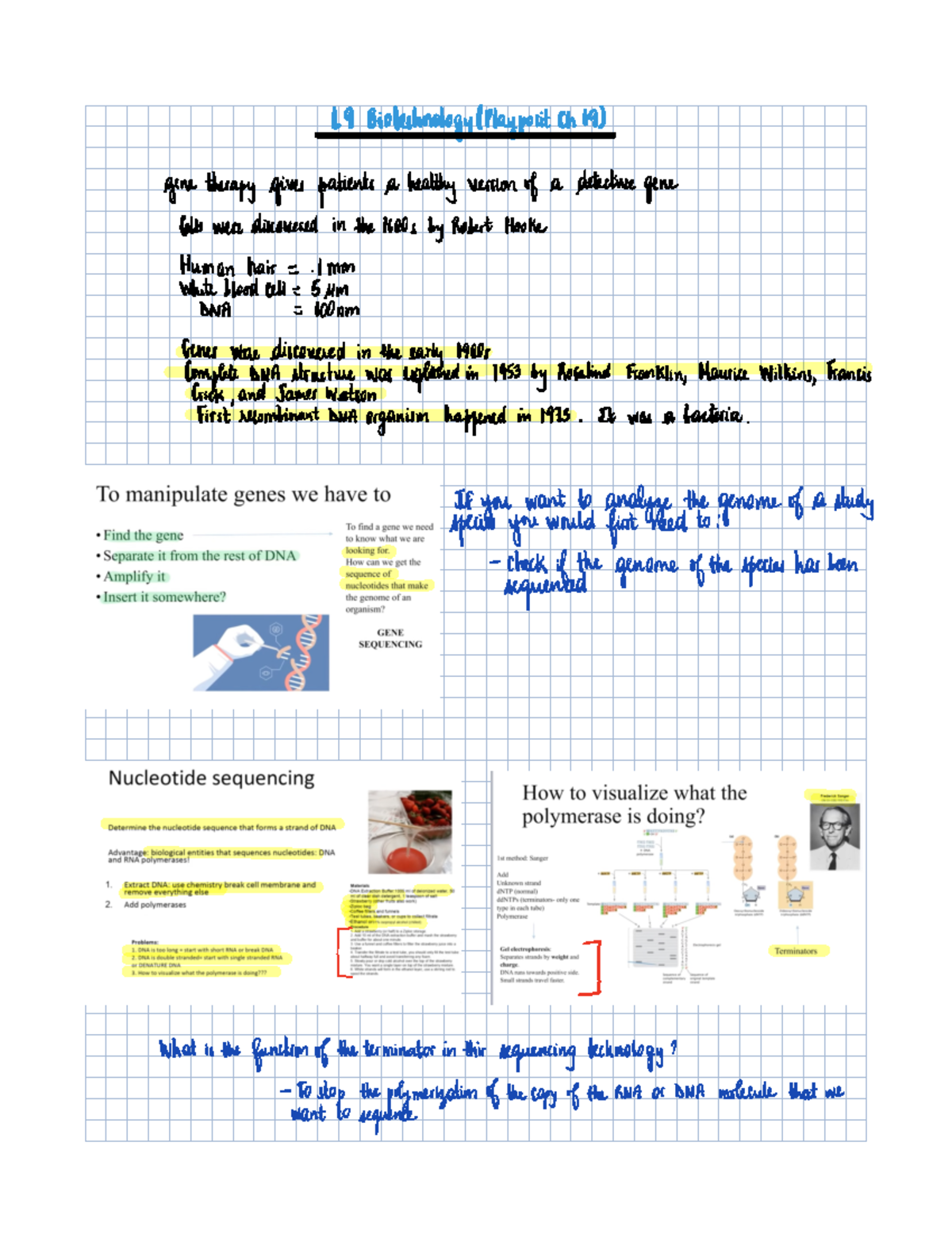 Chapter on Biotechnology - PCB3063 - Studocu