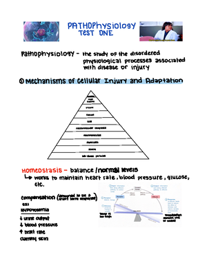 Virtual Assignment - patho - Interview and paper Describe any important ...